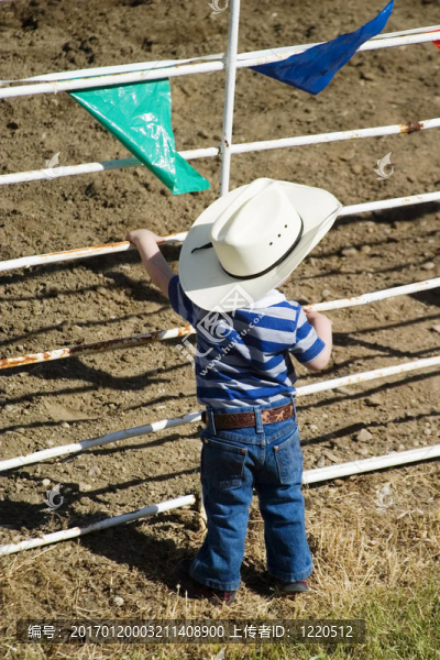年輕的牛仔