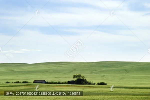 草原景觀