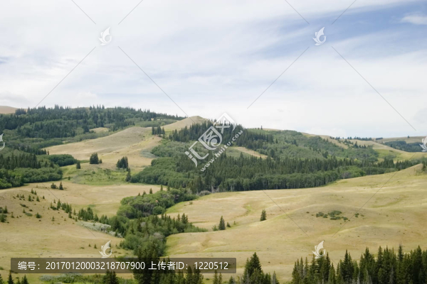 柏樹山-匯圖網(wǎng) www.fosd68.com 柏樹山