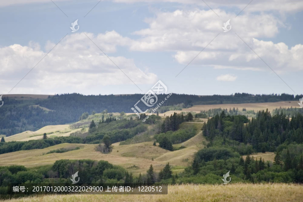 cyrpess山-匯圖網(wǎng) www.fosd68.com cyrpess山