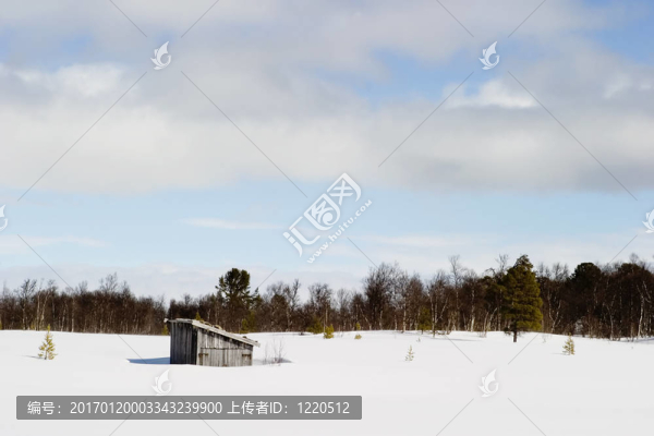冰凍的湖面景觀