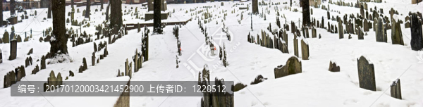 波士頓墓地全景