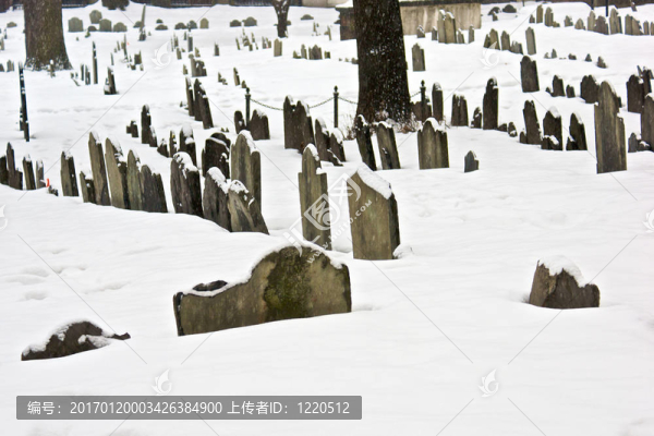 死在隆冬