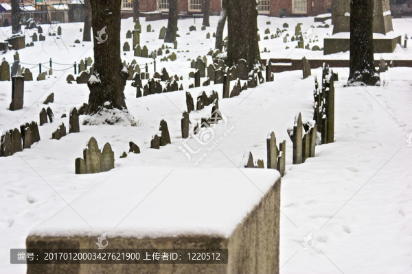 在雪中的一排排的墳?zāi)? title=