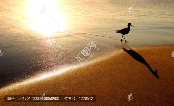 拉古納海灘