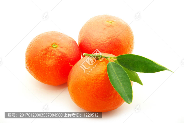 Tangerine夜店