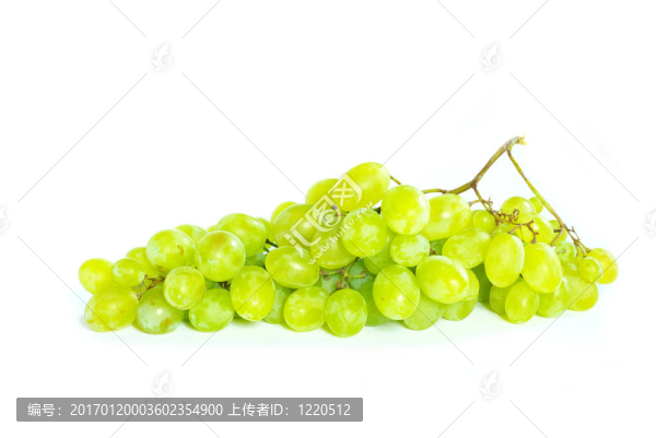 葡萄白-匯圖網(wǎng) www.fosd68.com 葡萄白