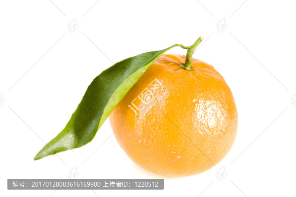 Tangerine夜店與葉