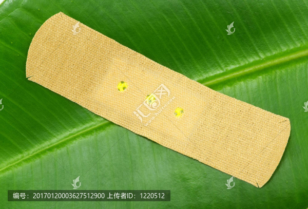 葉