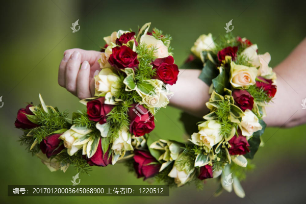 美麗的花朵