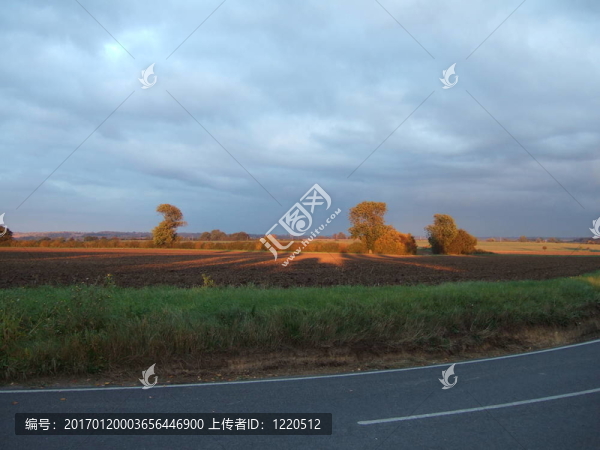 秋光-匯圖網(wǎng) www.fosd68.com 秋光