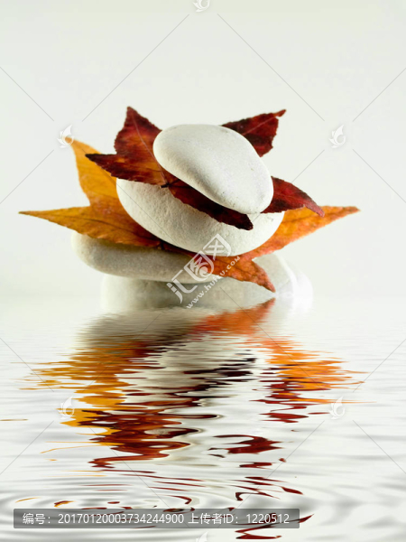 帶樹葉和水的海灘石