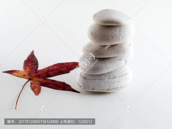 帶葉的海灘石