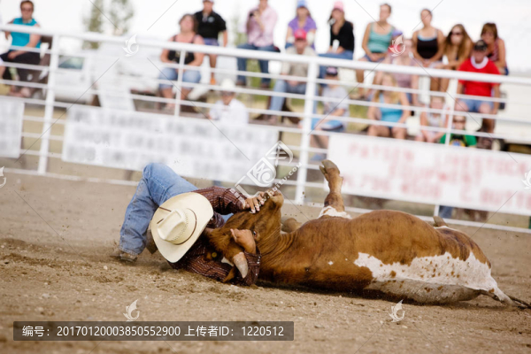 搏牛-匯圖網(wǎng) www.fosd68.com 搏牛