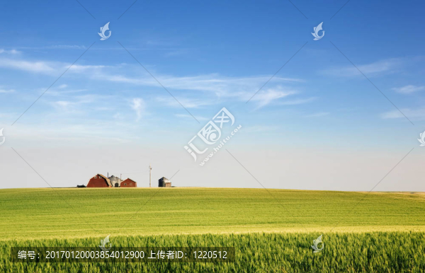 大草原農(nóng)田