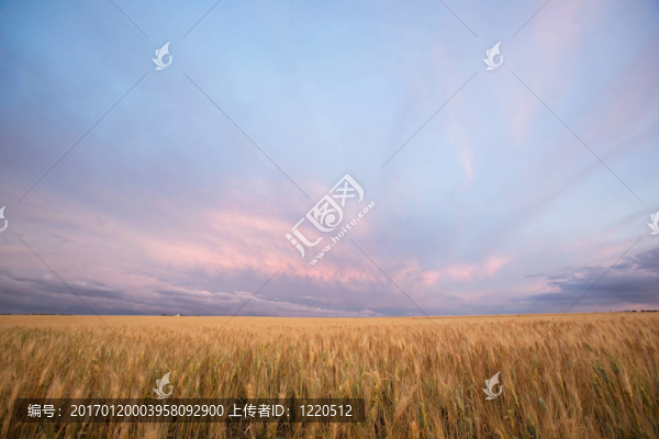 收獲的風(fēng)景-匯圖網(wǎng) www.fosd68.com 收獲的風(fēng)景