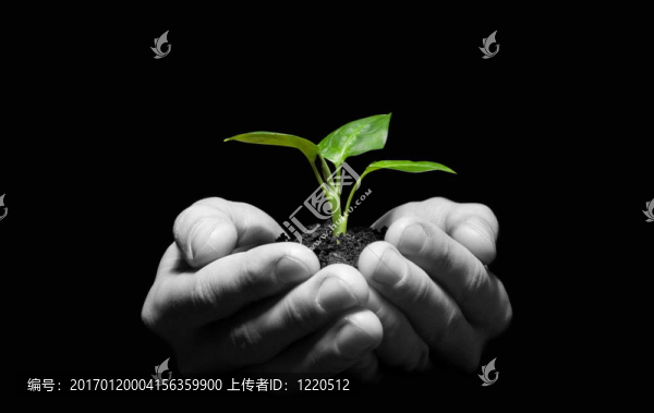植物在手