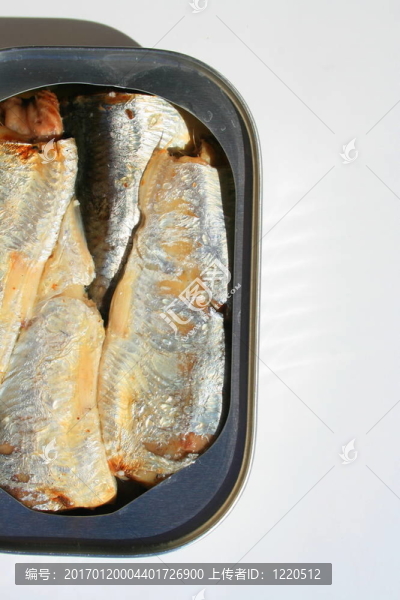 在一個可以沙丁油魚
