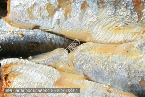 在一個(gè)可以沙丁油魚