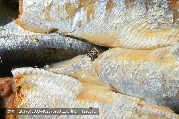 在一個(gè)可以沙丁油魚