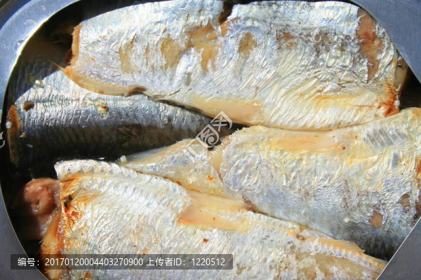 在一個(gè)可以沙丁油魚