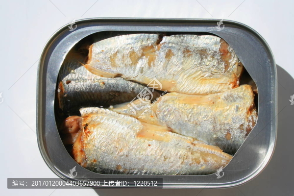 在一個可以沙丁油魚