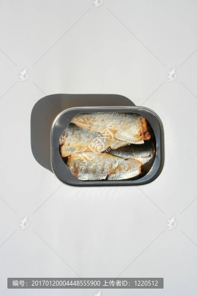 在一個可以沙丁油魚