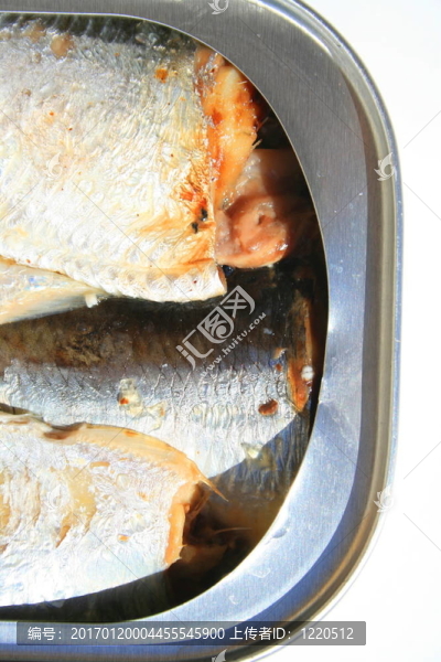 在一個可以沙丁油魚