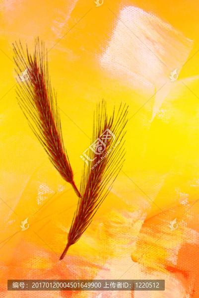 抽象的形狀和顏色