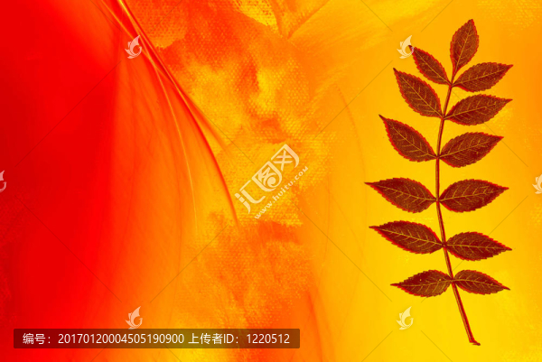抽象的形狀和顏色