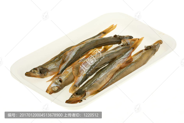 毛鱗魚