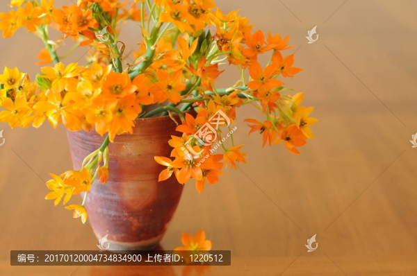 在一個棕色的花瓶里的花