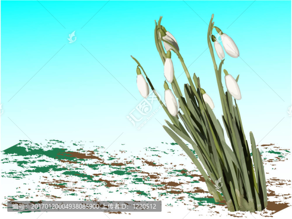 雪花在冬日的背景