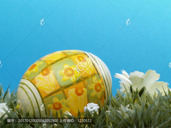 黛西的復(fù)活節(jié)彩蛋