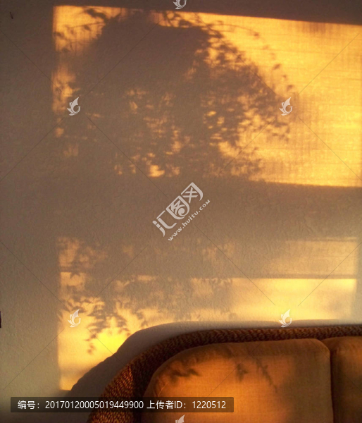 一種垂吊植物，淡淡的竹百葉窗在日光浴室的墻和柳條家具部分的影子。