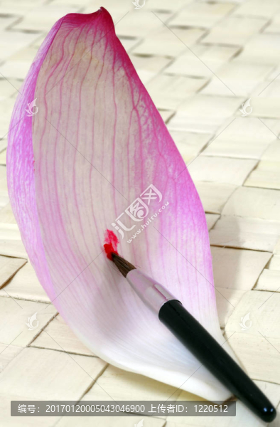 蓮花刷油漆