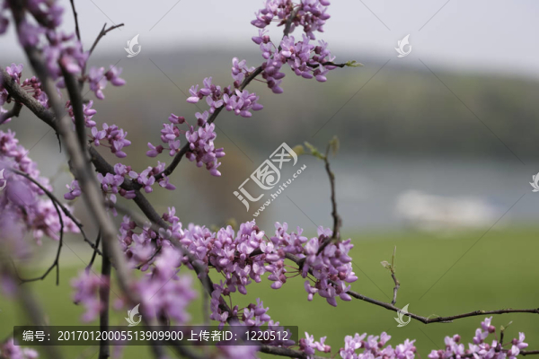 德魯斯州立公園-匯圖網(wǎng) www.fosd68.com 德魯斯州立公園