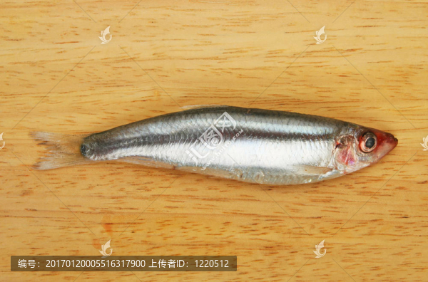 Sprat船上