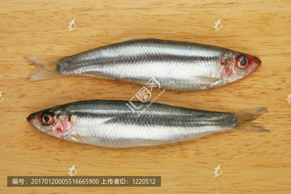 魚船上