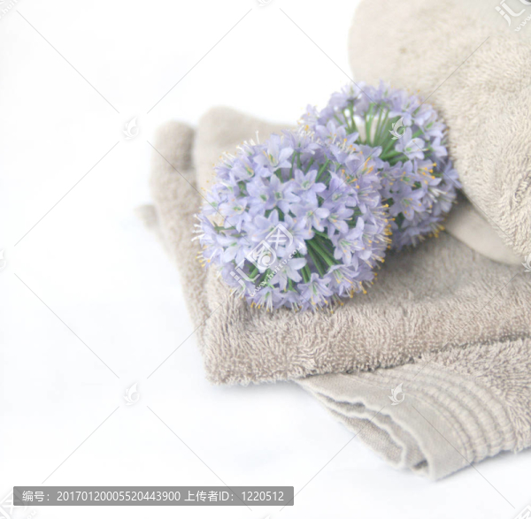 高調(diào)的SPA