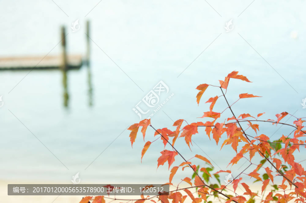 平靜的湖面景色
