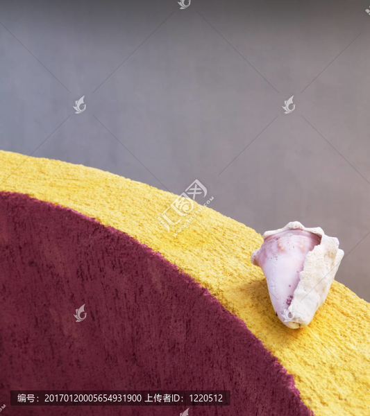 貝殼和墻-匯圖網(wǎng) www.fosd68.com 貝殼和墻