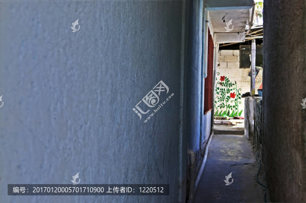 玫瑰園；水平