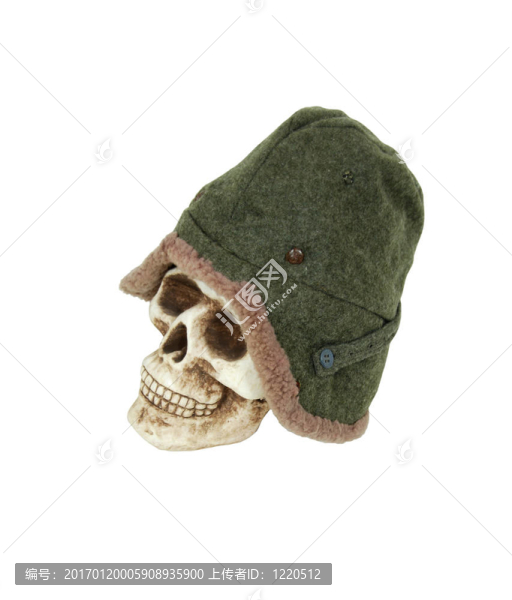 骷髏頭上的羊毛帽子