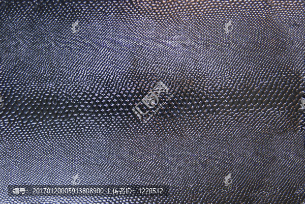 Black,Snakeskin的紋理