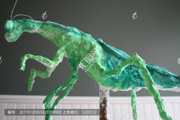 螳螂在紙型-匯圖網(wǎng) www.fosd68.com 螳螂在紙型