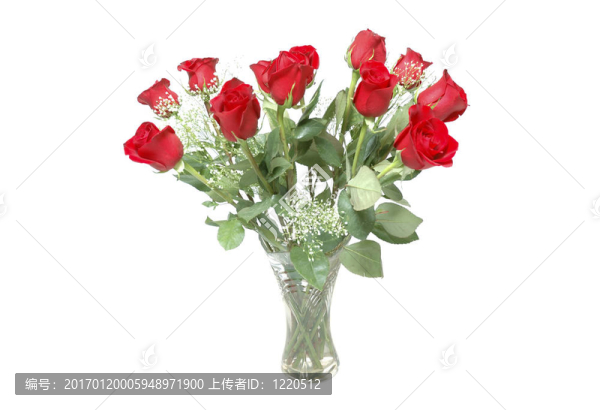 玫瑰情人節(jié)