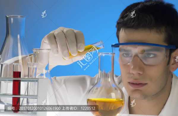 青少年科學(xué)家的工作我