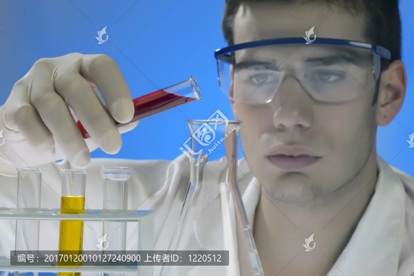 青少年科學(xué)家的工作我