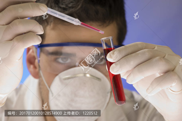 青少年科學(xué)家的工作我